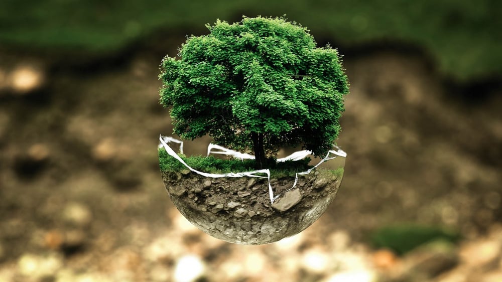 Wieczór zDolnego Śląska: Ekologia w regionie - fot. pixabay (zdjęcie ilustracyjne)