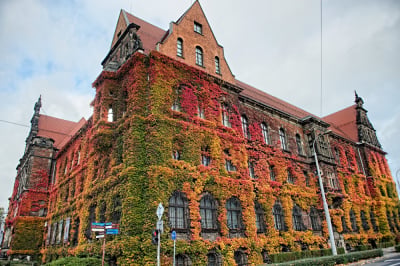 Muzeum Narodowe we Wrocławiu na zakupach, będzie co oglądać