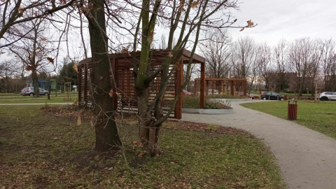 Więcej zieleni na Gazowej - nowe skwery gotowe - 2