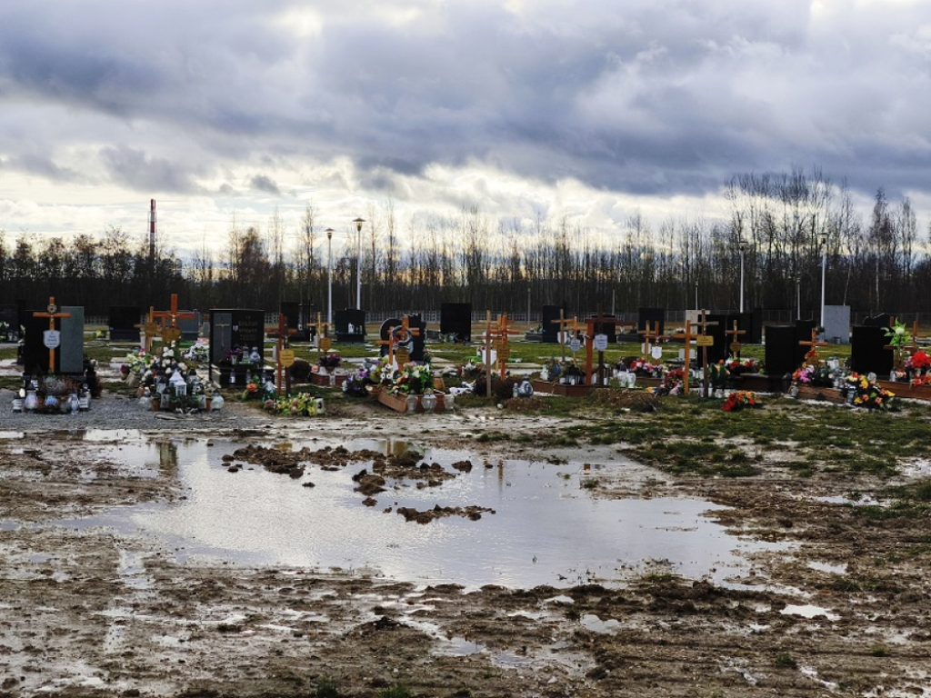 Cmentarz w Jaszkowie jak bagna - Fot: Karolina Bieniek