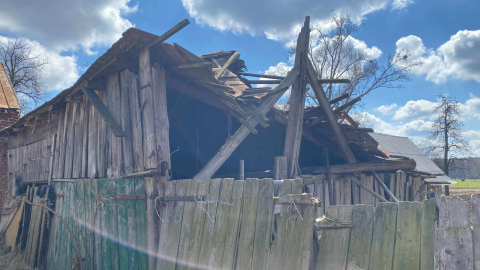 Bez zadaszenia i dostępu do wody - tak żyje w czasie mrozów wielkie stado krów koło Jelcza - Laskowic - 1