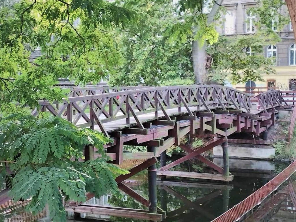 Wrocławianie znów będą mogli przejść kładką św. Antoniego - fot. Jakub Ciołko. Tak wyglądała kładka po tym, gdy spadł na nią konar.