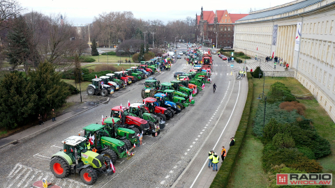 Krajobraz po proteście rolników. Spalona ziemia i wieniec - 26
