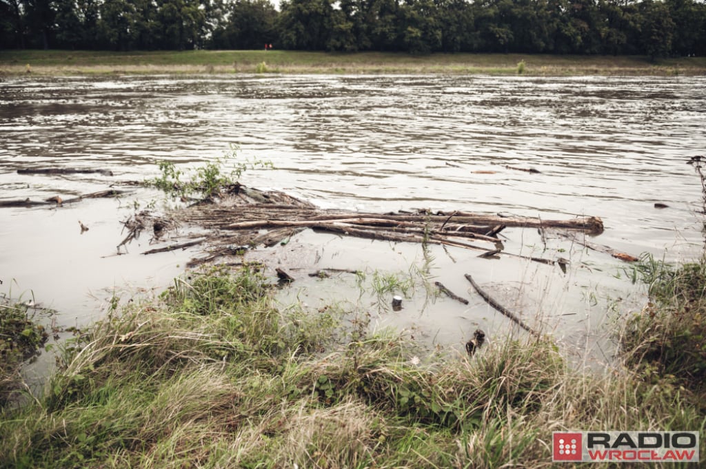 Poziom wody w Widawie nadal wysoki - zdjęcie ilustracyjne / fot. Radio Wrocław