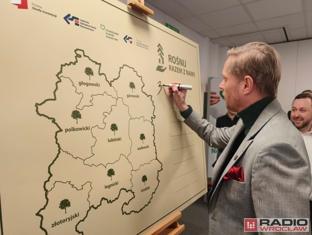 Posadzą przy szkołach 300 drzew – fot. Karolina Bieniek