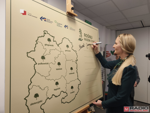 Posadzą przy szkołach 300 drzew - 0
