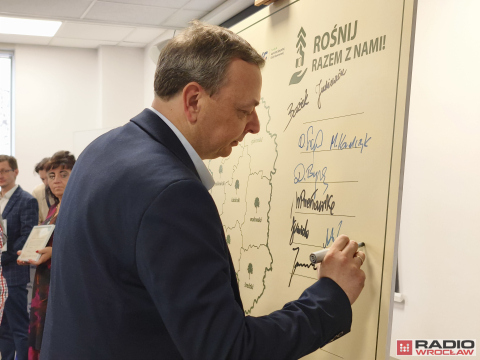 Posadzą przy szkołach 300 drzew - 1
