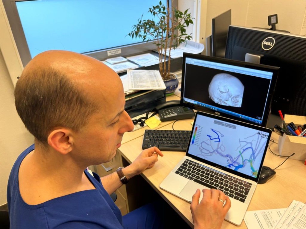 Matematyczny model mózgu pomaga lekarzom w operacjach - fot. mat. prasowe
