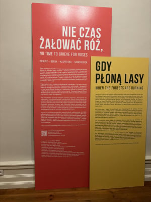 „Nie czas żałować róż, gdy płoną lasy”. Nowa wystawa w galerii OP ENHEIM - 0