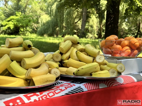 Dzieci nadają rytm! Rodzinna przygoda biegowa [ZOBACZ ZDJĘCIA] - 63