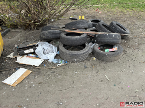 Dzikie wysypiska śmieci zmorą wrocławian - 4