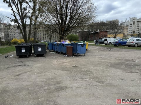 Dzikie wysypiska śmieci zmorą wrocławian - 5