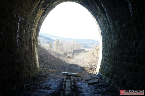 Problem z remontem tunelu pod Przełęczą Kowarską? Zamieszkały tam... nietoperze - 4
