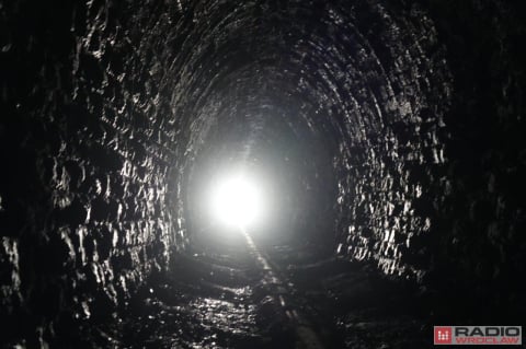Problem z remontem tunelu pod Przełęczą Kowarską? Zamieszkały tam... nietoperze - 0