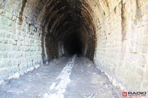 Problem z remontem tunelu pod Przełęczą Kowarską? Zamieszkały tam... nietoperze - 2