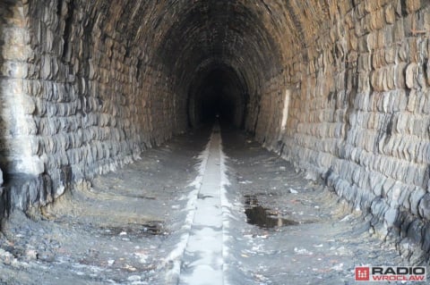 Problem z remontem tunelu pod Przełęczą Kowarską? Zamieszkały tam... nietoperze - 3