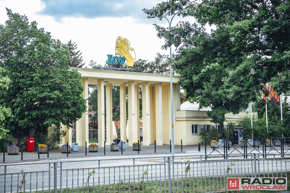 Dyrektorka wrocławskiego ZOO złożyła do prokuratury zawiadomienie na prezeskę ogrodu - fot. archiwum Radia Wrocław