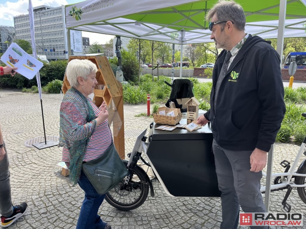 Zadbajmy we Wrocławiu o owady zapylające - Fot: Beata Makowska