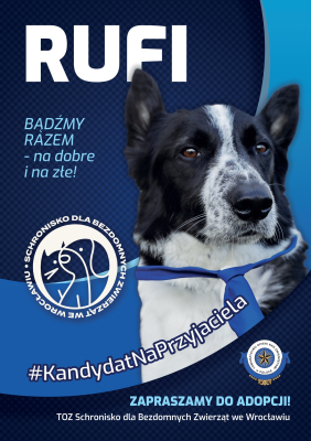 Trwa kampania wyborcza... we Wrocławskim Schronisku dla Bezdomnych Zwierząt - 0