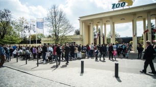 Co dzieje się w zarządzie wrocławskiego zoo? Dyrektor generalna złożyła zawiadomienie do prokuratury