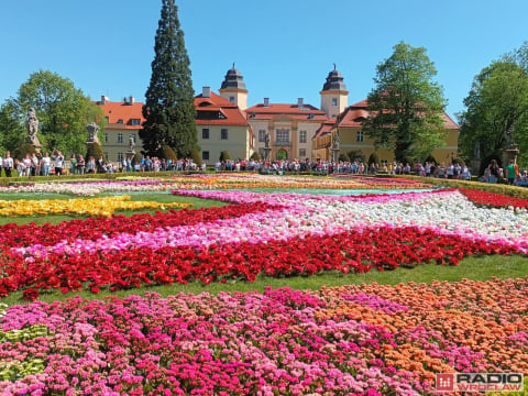 DRJ: Festiwal Kwiatów w Zamku Książ. Zobacz, jak się bawimy - 19