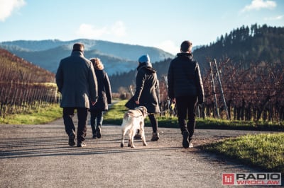 Adopcyjny dzień otwarty we wrocławskiej Ekostraży
