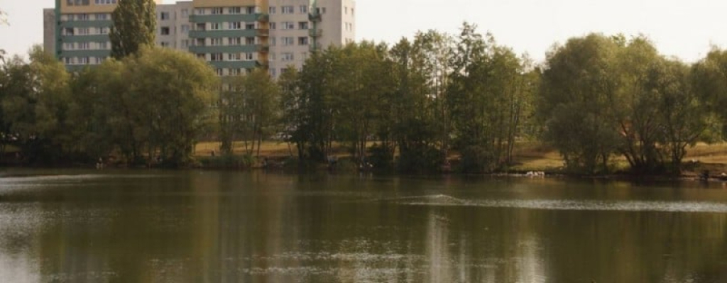 Chcą uratować Staw Pilczycki przed wyschnięciem - fot. archiwum radiowroclaw.pl