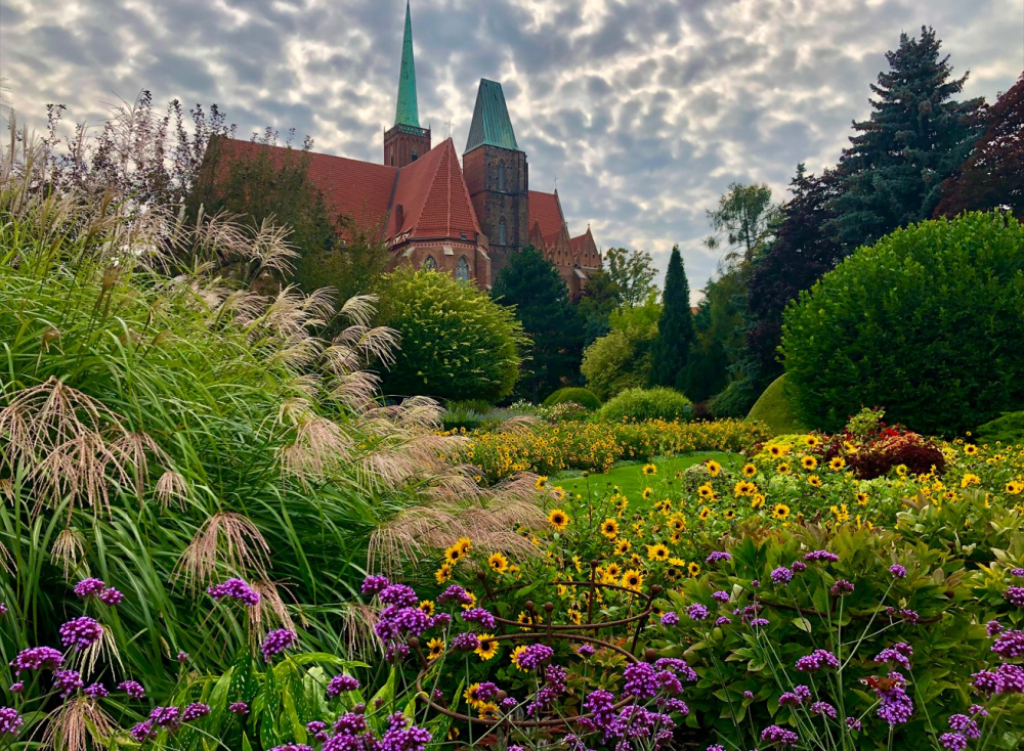 Dźwiękowa Historia – Ogród Botaniczny Uniwersytetu Wrocławskiego  - fot. Ogród Botaniczny UWr. 