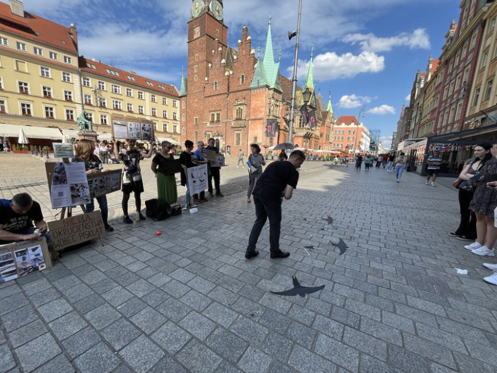 Ekolodzy: Ochrona ptaków i nietoperzy we Wrocławiu to fikcja - fot. Beata Makowska