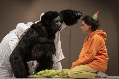 W 6 dni 17 spektakli - rusza Przegląd Nowego Teatru dla Dzieci