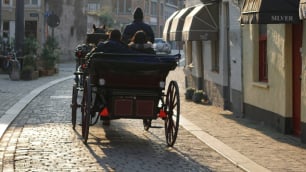 Skontrolowano stan dorożkarskich koni we Wrocławiu