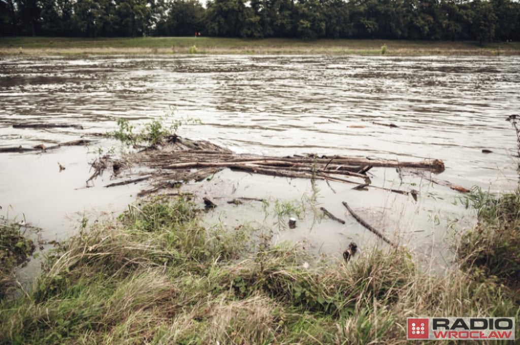 Rzecznik wojewody: przyczyną śnięcia ryb pod Głogowem - najprawdopodobniej złota alga - zdjęcie ilustracyjne, fot. Patrycja Dzwonkowska/archiwum radiowroclaw.pl