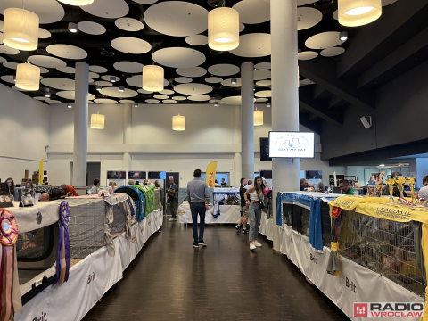 Dolnośląskie Targi Zoologiczne na Tarczyński Arena - 4
