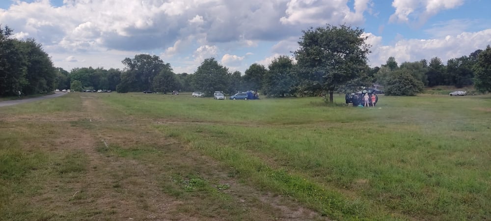 Parkują na dziko i niszczą tereny przy Kładce Zwierzynieckiej - fot. Agnieszka Studniarek
