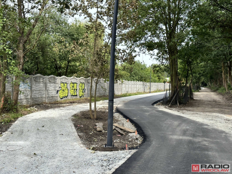 Brakujący fragment Promenady Krzyckiej na ukończeniu. Widzieliśmy go przed otwarciem - 12