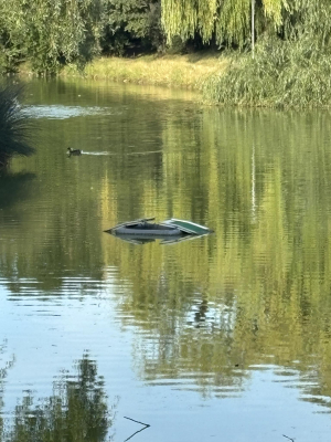Wrocław odławia żółwie. Ludzie je kupują, a potem wyrzucają w parkach - 1
