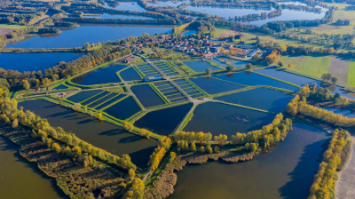 14 mln zł na modernizację Staw&oacute;w Milickich. W planach m.in. remont grobli
