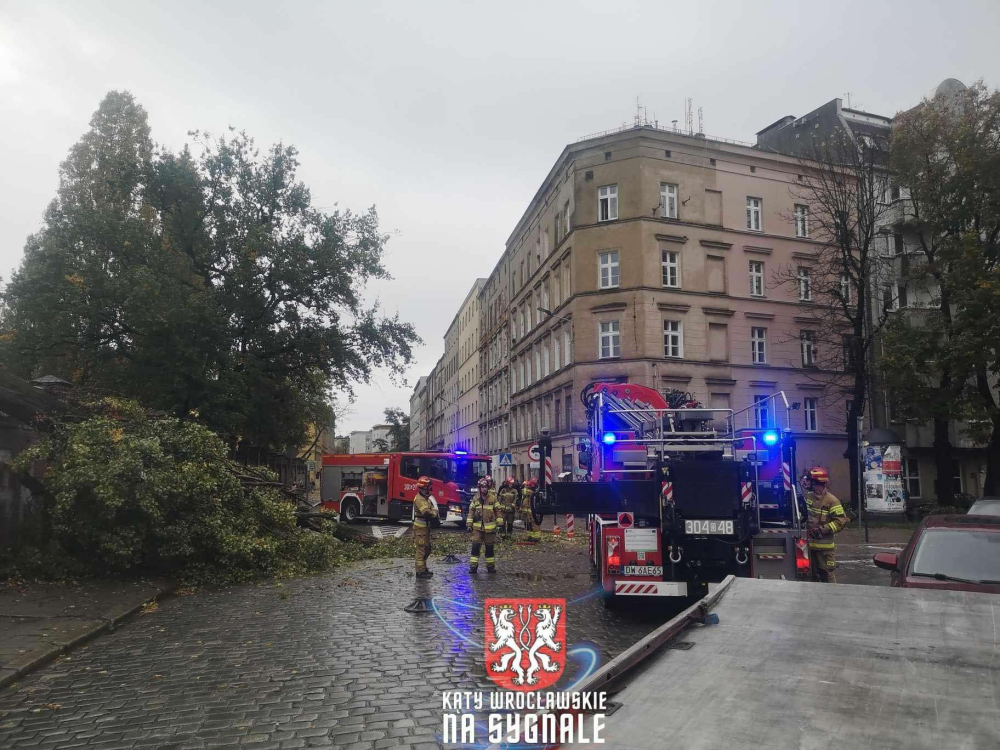 Tęczowa: powalone drzewo, zablokowany przejazd – fot. czytelnik