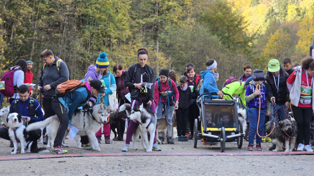 Złoty Stok: Sportowcy i ich psy na trasach finału Pucharu Polski w Dogtrekkingu - fot. Jarosław Wrona