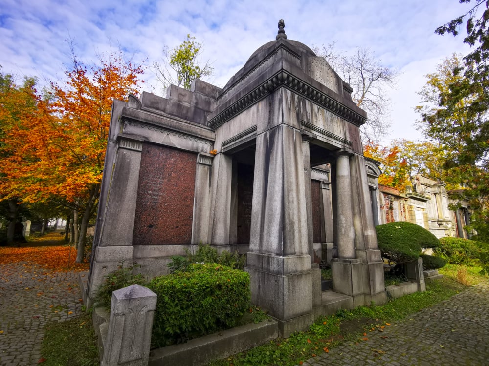 Najbardziej nietypowe muzeum we Wrocławiu. Stary Cmentarz Żydowski – Cmentarz Żydowski we Wrocławiu, fot. Radosław Bugajski