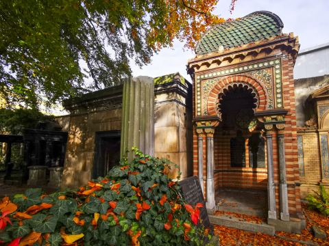 Najbardziej nietypowe muzeum we Wrocławiu. Stary Cmentarz Żydowski  - 42