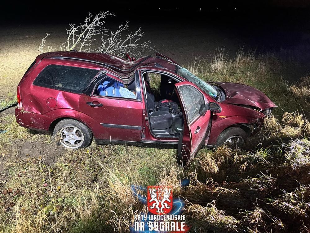 Porzucone auto na DK8. Kierowca uciekł z miejsca zdarzenia – Tak wyglądał pojazd, który zjechał z DK8 i uderzył w drzewo. Fot. OSP KSRG Pustków Wilczkowski, Ochotnicza Straż Pożarna w Jordanowie Śląskim/ Kąty Wrocławskie na Sygnale