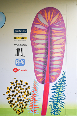 Zamiast zwykłego tunelu - barwny mural. Nowe dzieło we Wrocławiu - 3