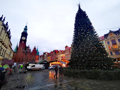 Wandal pr&oacute;bował wspiąć się na świąteczną choinkę na Rynku