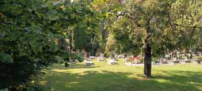 Dolnośląskie cmentarze mogą... ratować życie. Jak to możliwe?