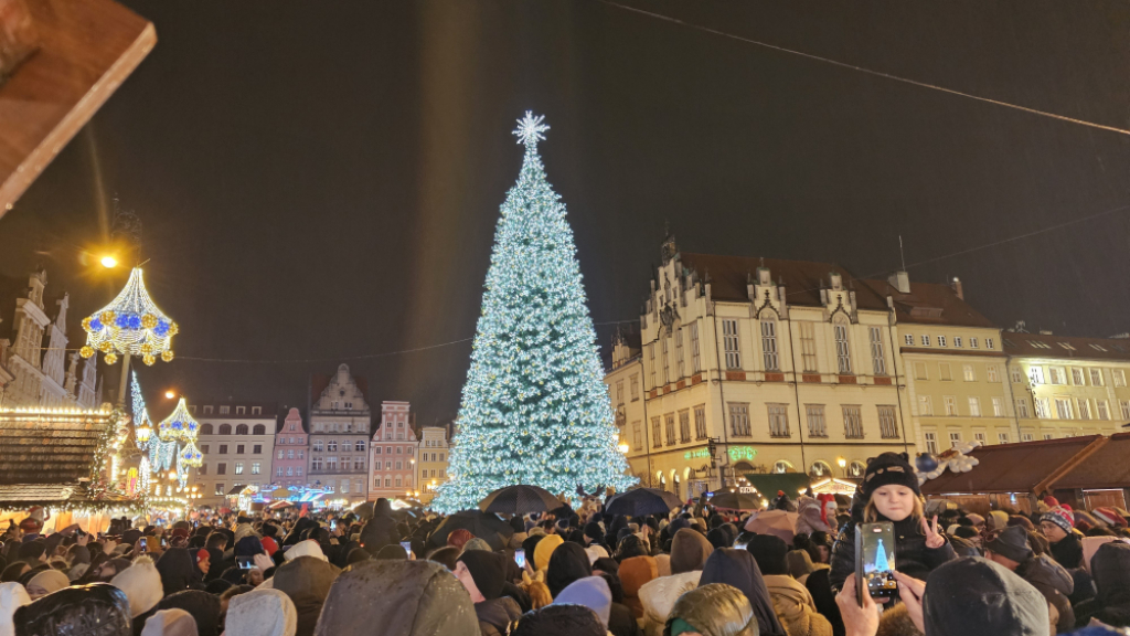 Choinka na wrocławskim Rynku rozświetlona! Zobacz zdjęcia i wideo – Tak prezentuje się rozświetlona choinka na wrocławskim Rynku. Fot. Łukasz Januszewski