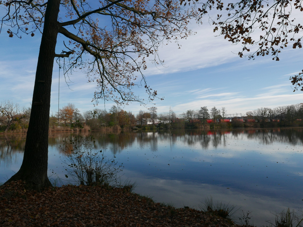 Nowa odsłona Parku Średzkiego we Wrocławiu już w przyszłym roku? Mamy wizualizację projektu – Park Średzki we Wrocławiu doczekał się planów rewitalizacji. Fot: Zarząd Zieleni Miejskiej we Wrocławiu