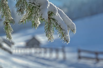 Silny mr&oacute;z na Dolnym Śląsku! W tych miejscach temperatura spadnie do -15&deg;C