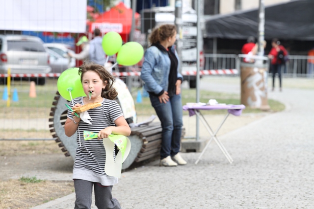 Radiowy Piknik na Wyspie Słodowej - 15