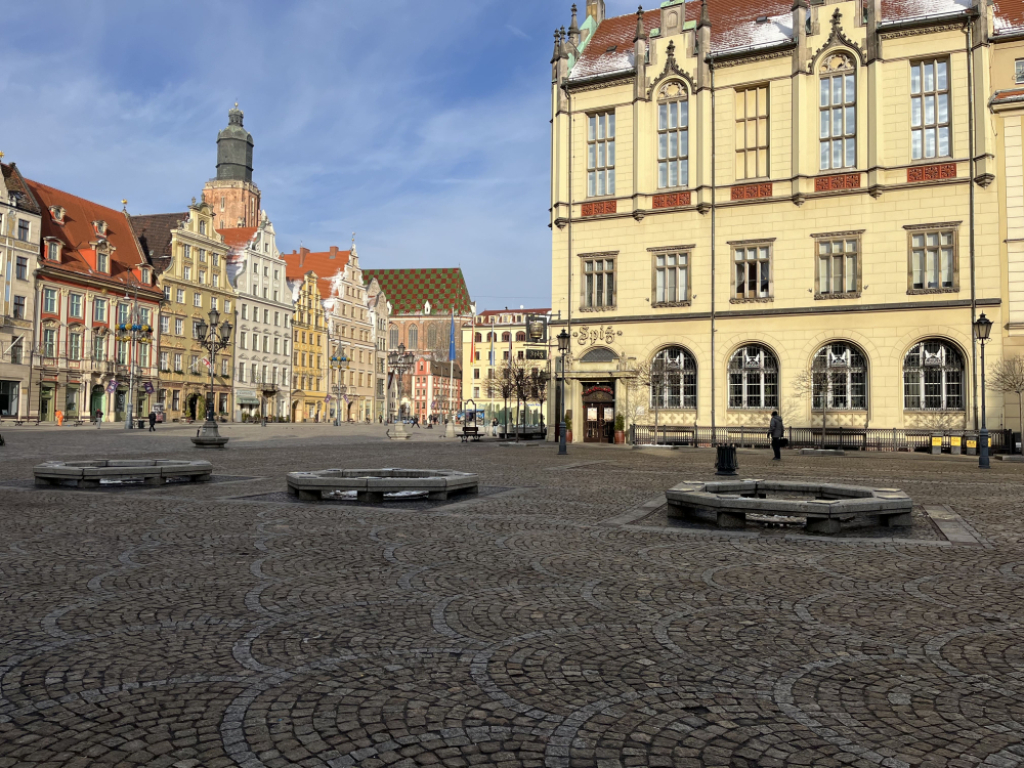 Wrocław: Wycięto trzy drzewa przy pomniku Fredry na Rynku. Dlaczego? – Wycięte drzewa na wrocławskim Rynku. Fot. Beata Makowska